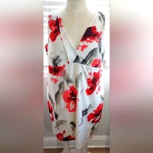 Madison Paige II Cream/Red Floral Print Sleeveless Dress NWT